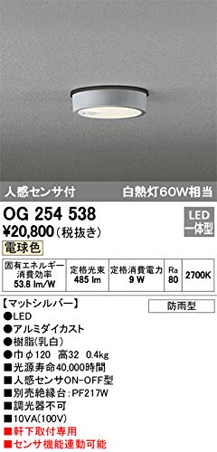 Amazon.co.jp: オーデリック フラットプレートエクステリア 【OG 254